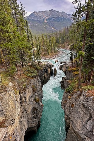 Sunwapta Falls - Parc National de Jasper Canada 2023